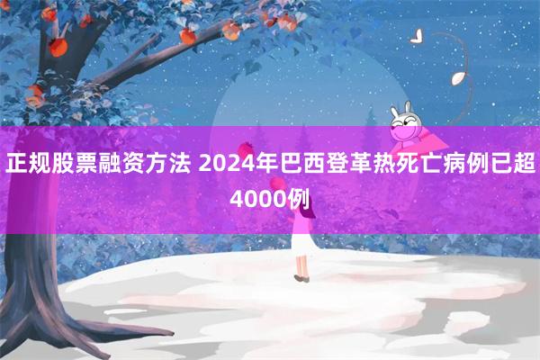 正规股票融资方法 2024年巴西登革热死亡病例已超4000例