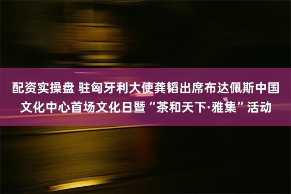 配资实操盘 驻匈牙利大使龚韬出席布达佩斯中国文化中心首场文化日暨“茶和天下·雅集”活动