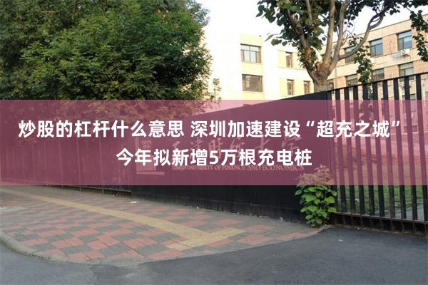 炒股的杠杆什么意思 深圳加速建设“超充之城” 今年拟新增5万根充电桩