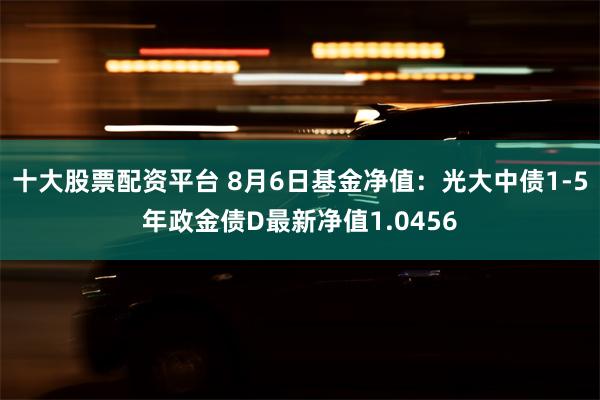 十大股票配资平台 8月6日基金净值：光大中债1-5年政金债D最新净值1.0456