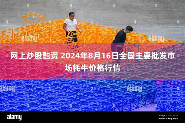 网上炒股融资 2024年8月16日全国主要批发市场牦牛价格行情