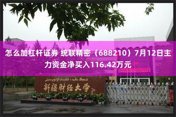 怎么加杠杆证券 统联精密（688210）7月12日主力资金净买入116.42万元