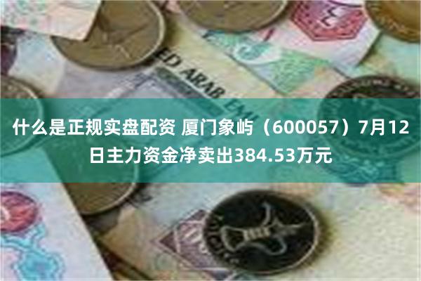 什么是正规实盘配资 厦门象屿（600057）7月12日主力资金净卖出384.53万元