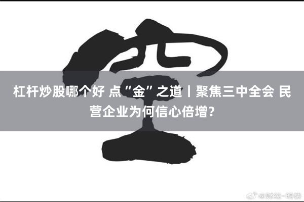 杠杆炒股哪个好 点“金”之道丨聚焦三中全会 民营企业为何信心倍增？