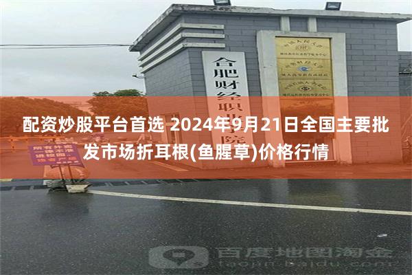 配资炒股平台首选 2024年9月21日全国主要批发市场折耳根(鱼腥草)价格行情