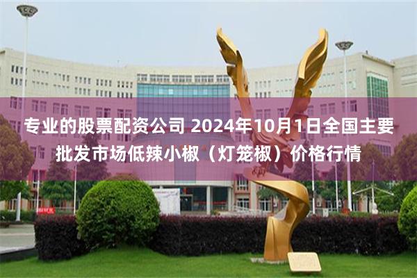 专业的股票配资公司 2024年10月1日全国主要批发市场低辣小椒（灯笼椒）价格行情