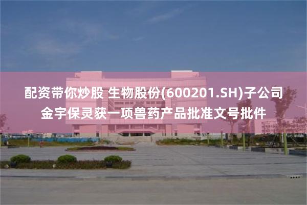 配资带你炒股 生物股份(600201.SH)子公司金宇保灵获一项兽药产品批准文号批件