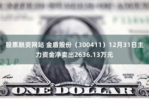 股票融资网站 金盾股份（300411）12月31日主力资金净卖出2636.13万元