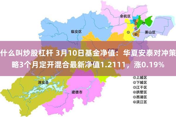 什么叫炒股杠杆 3月10日基金净值：华夏安泰对冲策略3个月定开混合最新净值1.2111，涨0.19%