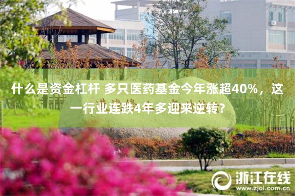 什么是资金杠杆 多只医药基金今年涨超40%，这一行业连跌4年多迎来逆转？