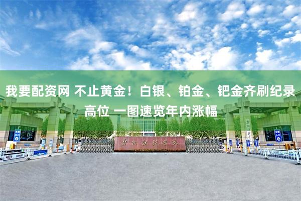 我要配资网 不止黄金！白银、铂金、钯金齐刷纪录高位 一图速览年内涨幅