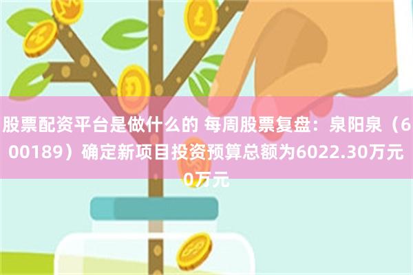 股票配资平台是做什么的 每周股票复盘：泉阳泉（600189）确定新项目投资预算总额为6022.30万元