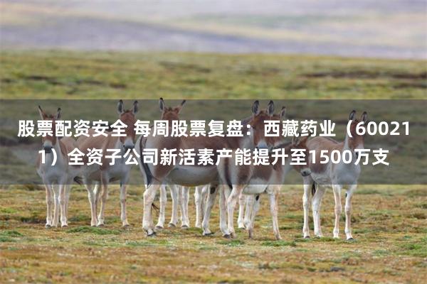 股票配资安全 每周股票复盘：西藏药业（600211）全资子公司新活素产能提升至1500万支