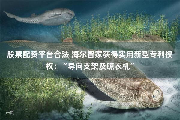 股票配资平台合法 海尔智家获得实用新型专利授权：“导向支架及晾衣机”