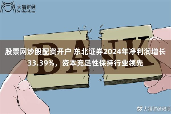 股票网炒股配资开户 东北证券2024年净利润增长33.39%，资本充足性保持行业领先