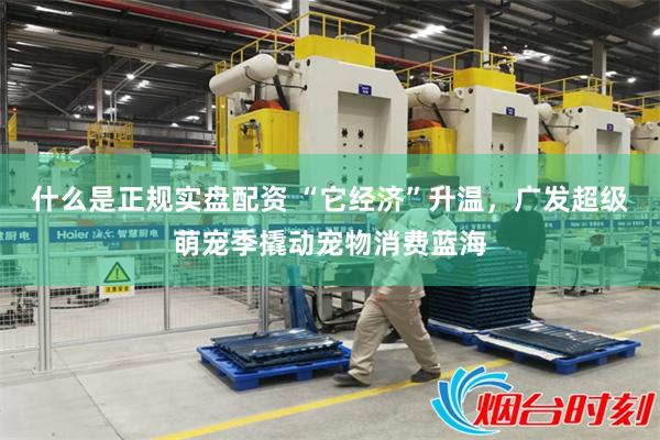 什么是正规实盘配资 “它经济”升温，广发超级萌宠季撬动宠物消费蓝海