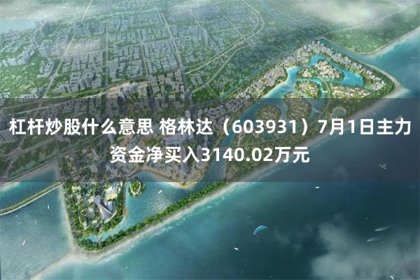 杠杆炒股什么意思 格林达（603931）7月1日主力资金净买入3140.02万元