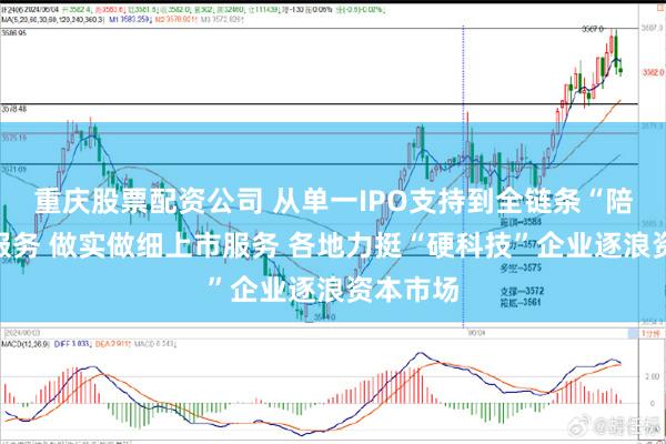 重庆股票配资公司 从单一IPO支持到全链条“陪跑式”服务 做实做细上市服务 各地力挺“硬科技”企业逐浪资本市场