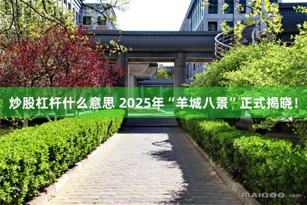 炒股杠杆什么意思 2025年“羊城八景”正式揭晓！