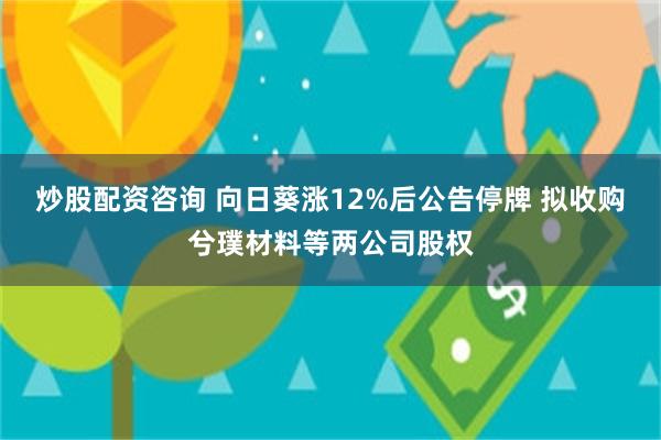 炒股配资咨询 向日葵涨12%后公告停牌 拟收购兮璞材料等两公司股权