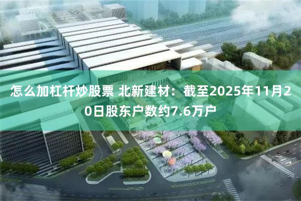 怎么加杠杆炒股票 北新建材：截至2025年11月20日股东户数约7.6万户