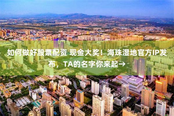 如何做好股票配资 现金大奖！海珠湿地官方IP发布，TA的名字你来起→