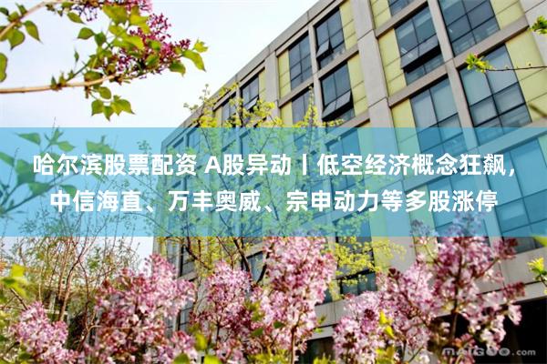 哈尔滨股票配资 A股异动丨低空经济概念狂飙，中信海直、万丰奥威、宗申动力等多股涨停