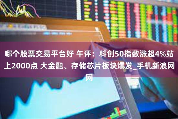 哪个股票交易平台好 午评：科创50指数涨超4%站上2000点 大金融、存储芯片板块爆发_手机新浪网