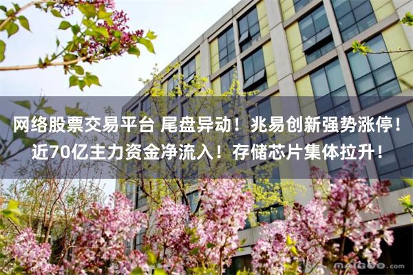 网络股票交易平台 尾盘异动！兆易创新强势涨停！近70亿主力资金净流入！存储芯片集体拉升！