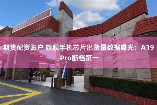 期货配资账户 旗舰手机芯片出货量数据曝光：A19 Pro断档第一