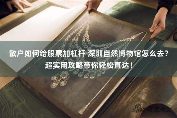 散户如何给股票加杠杆 深圳自然博物馆怎么去？超实用攻略带你轻松直达！