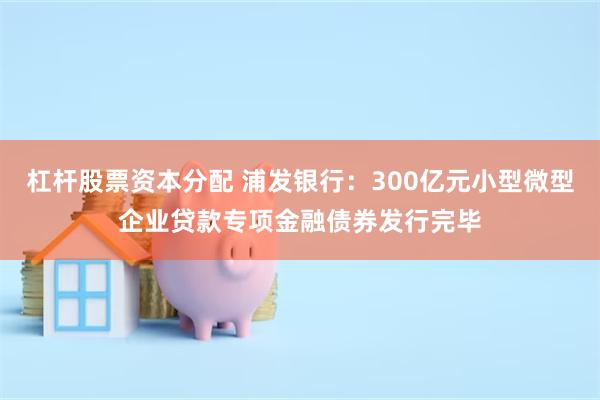 杠杆股票资本分配 浦发银行：300亿元小型微型企业贷款专项金融债券发行完毕