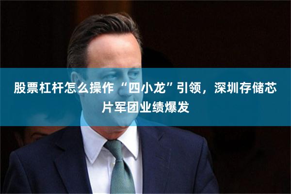 股票杠杆怎么操作 “四小龙”引领，深圳存储芯片军团业绩爆发